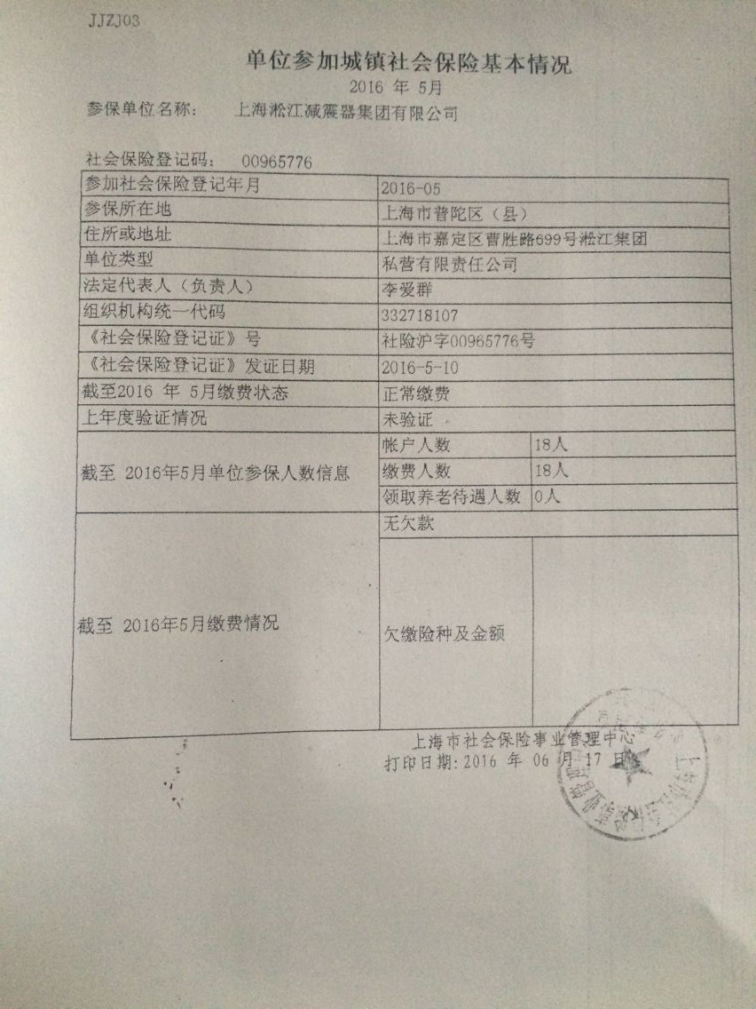 淞江集团单位参加城镇社会保险基本情况